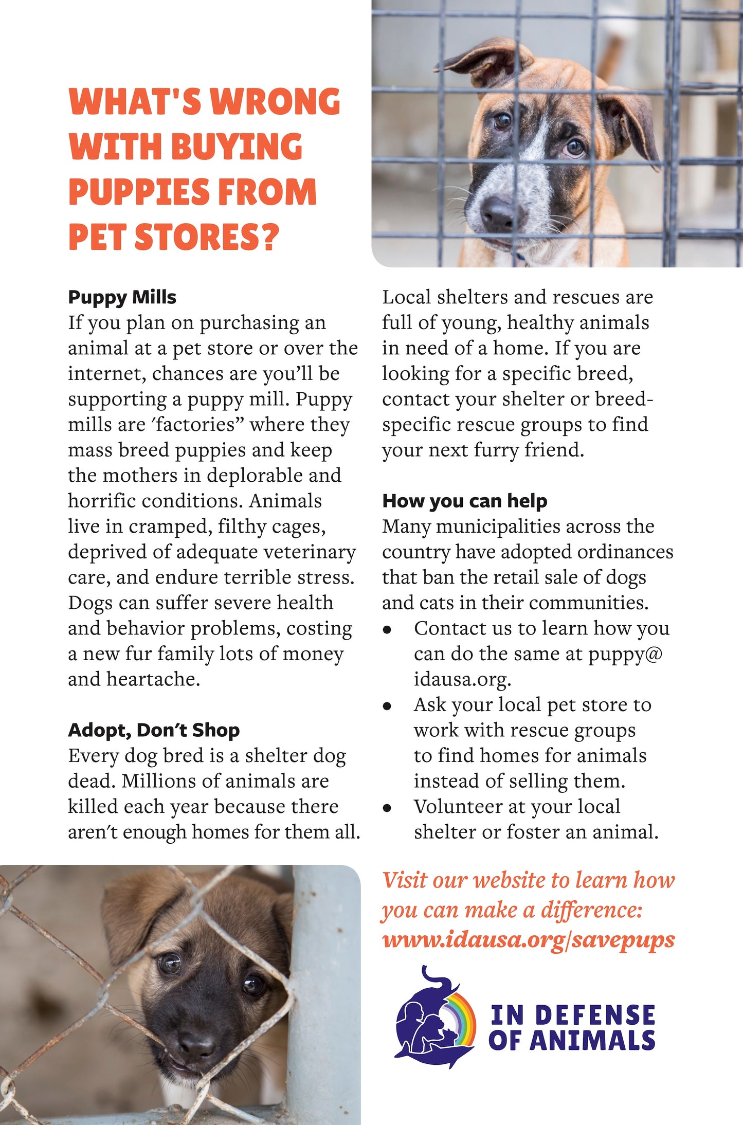 "What's Wrong with Buying Puppies from Pet Stores?" Posters, 8 1/2" x 11" (pack of 20)