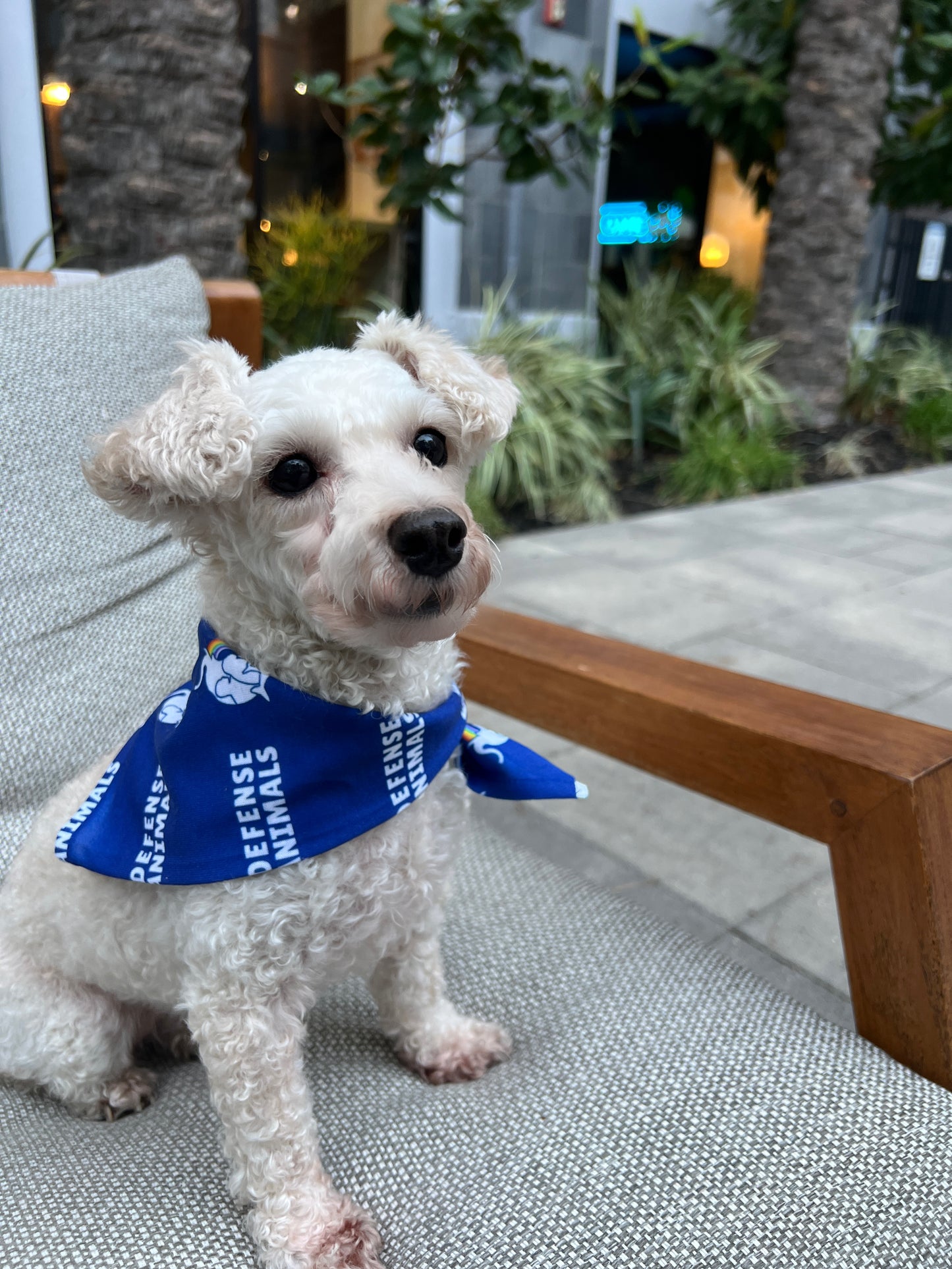 Paw-sitive Impact Bandana