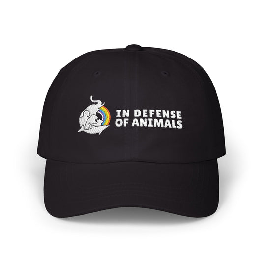 IDA Classic Baseball Cap in Black