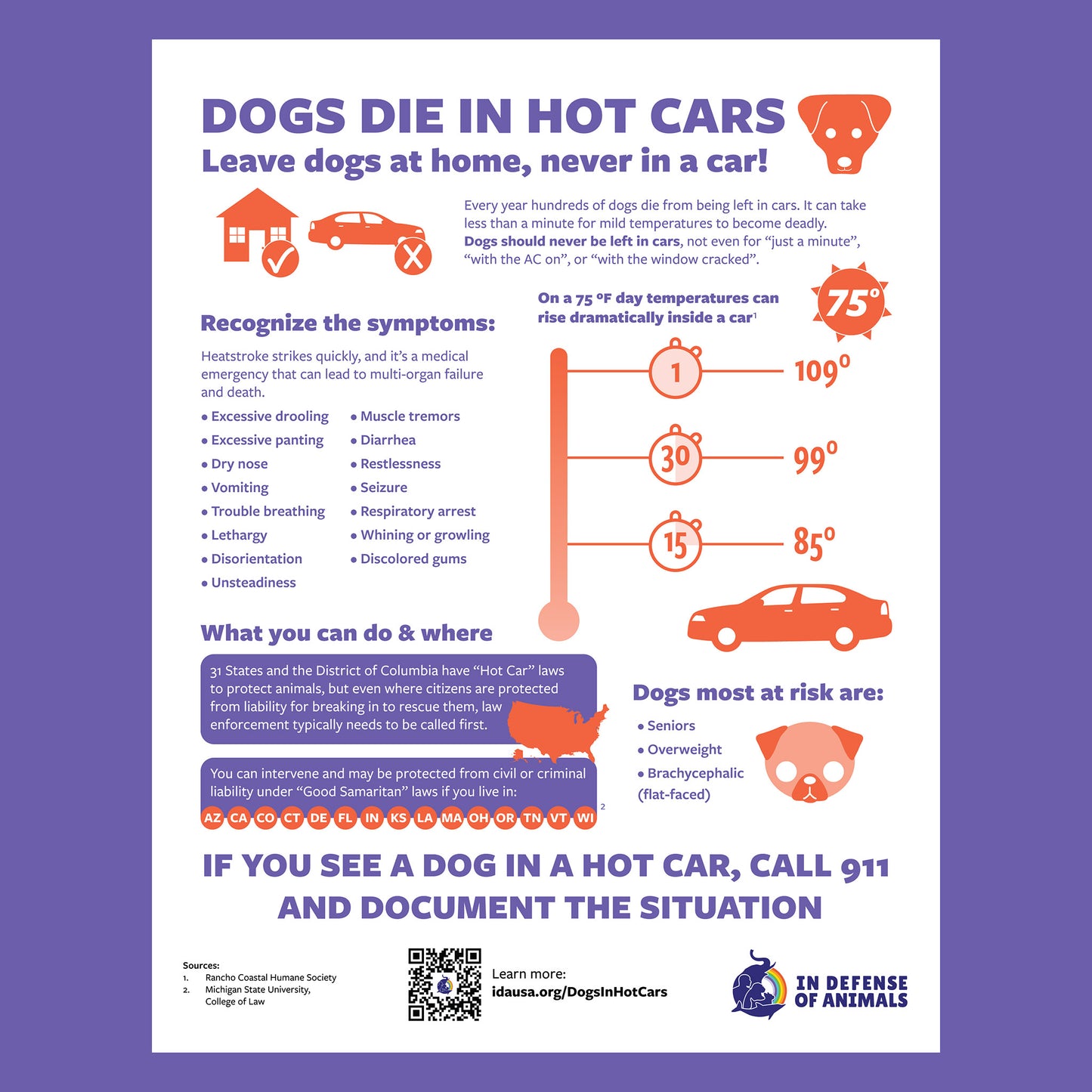 "Dogs Die in Hot Cars" Posters, 8 1/2" x 11" (pack of 20)