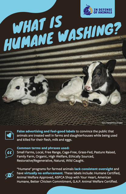 "What Is Humane Washing?" handout (pack of 15)