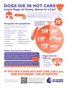 "Dogs Die in Hot Cars" Posters, 8 1/2" x 11" (pack of 20)