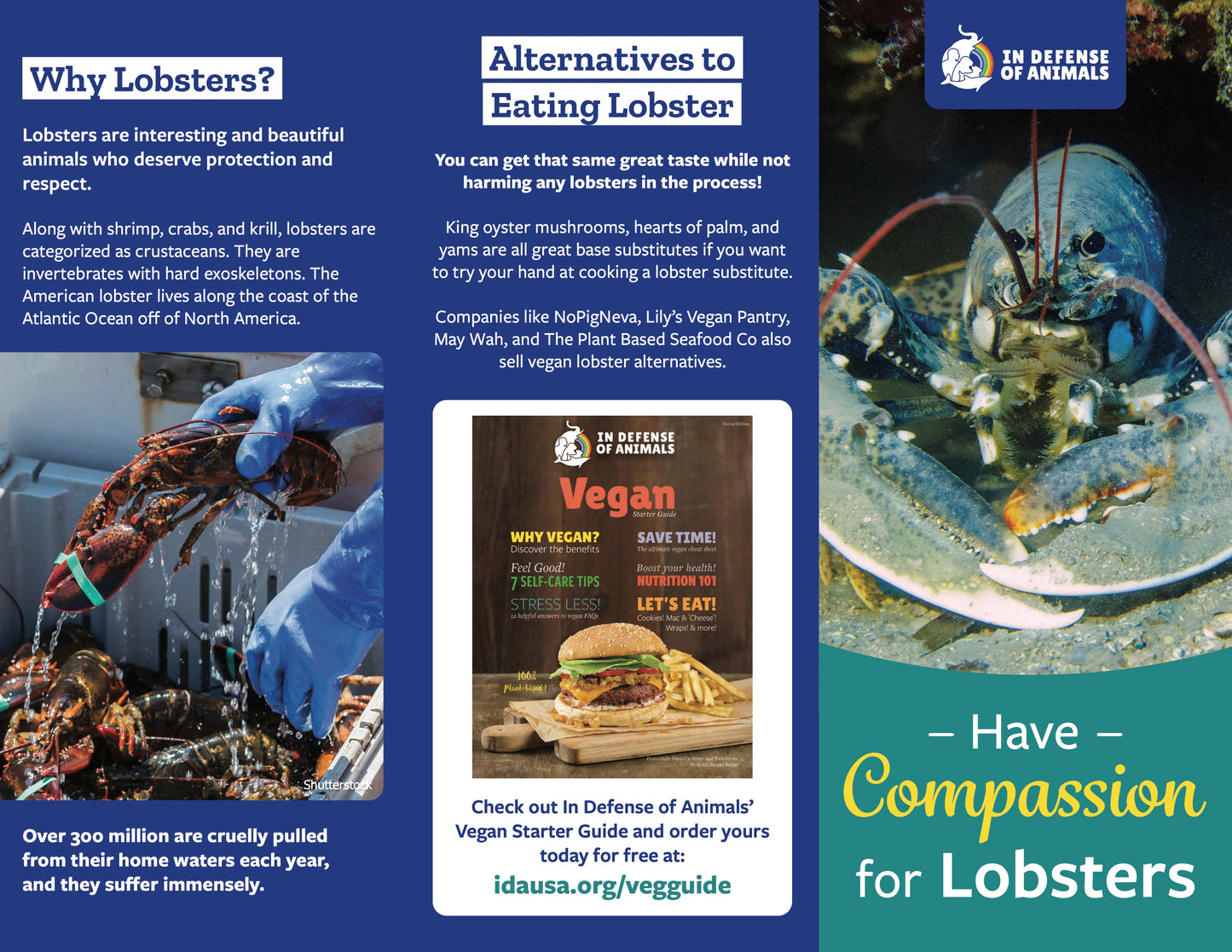 "Have Compassion for Lobsters" flyer (pack of 20)