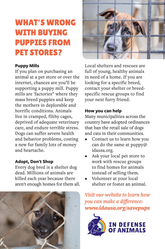 "What's Wrong with Buying Puppies from Pet Stores?" Posters, 8 1/2" x 11" (pack of 20)